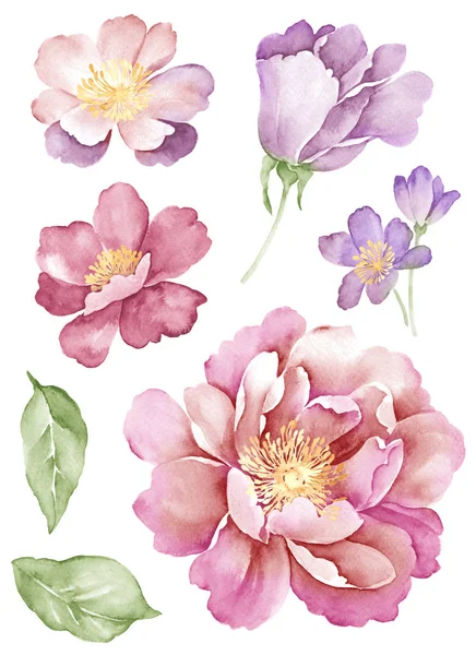 Sulu Boya çizim çiçek