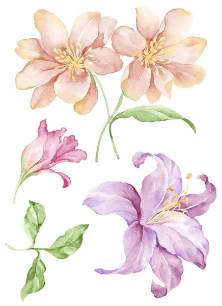 Watercolor illustration flower — Stock Photo, Image