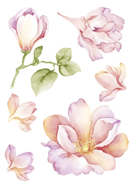 Watercolor illustration flower — Stock Photo, Image