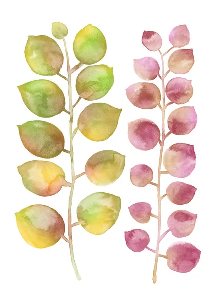 Akvarel illustration blomst - Stock-foto