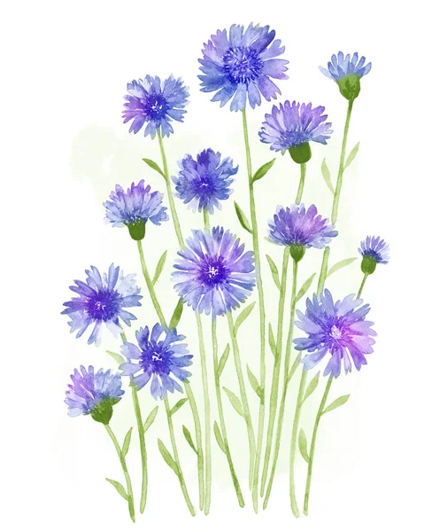 Aquarelle illustration fleur — Photo