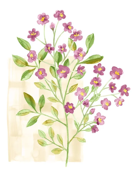 Sulu Boya çizim çiçek