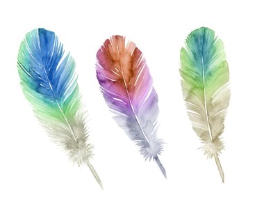 Beyaz arkaplanda suluboya ile boyanmış tüyler.