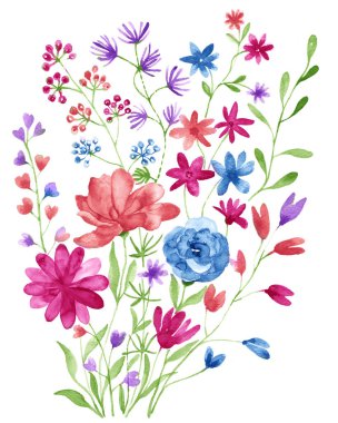 suluboya illüstrasyon çiçeği basit beyaz arkaplanda ayarlandı