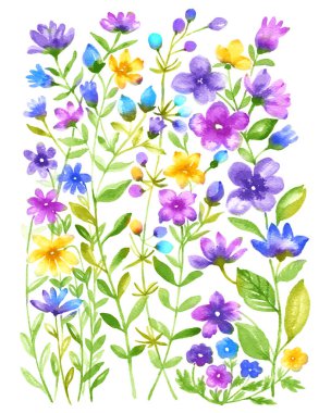 suluboya illüstrasyon çiçeği basit beyaz arkaplanda ayarlandı