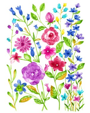 suluboya illüstrasyon çiçeği basit beyaz arkaplanda ayarlandı