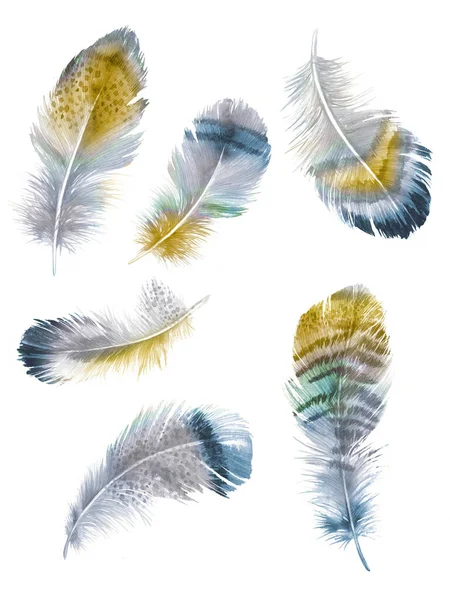 Φτερά Βαμμένα Ακουαρέλες Λευκό Φόντο — Φωτογραφία Αρχείου