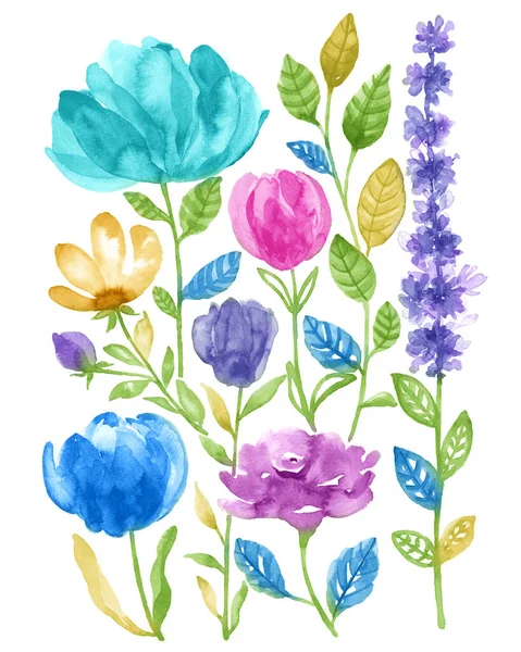 Aquarel Illustratie Bloem Set Eenvoudige Witte Achtergrond — Stockfoto