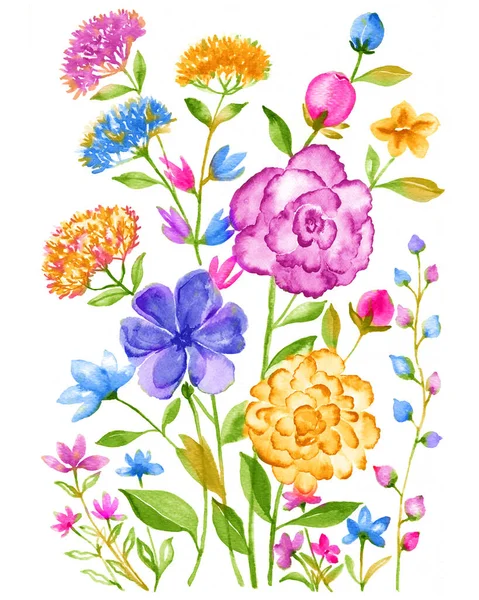 Aquarel Illustratie Bloem Set Eenvoudige Witte Achtergrond — Stockfoto