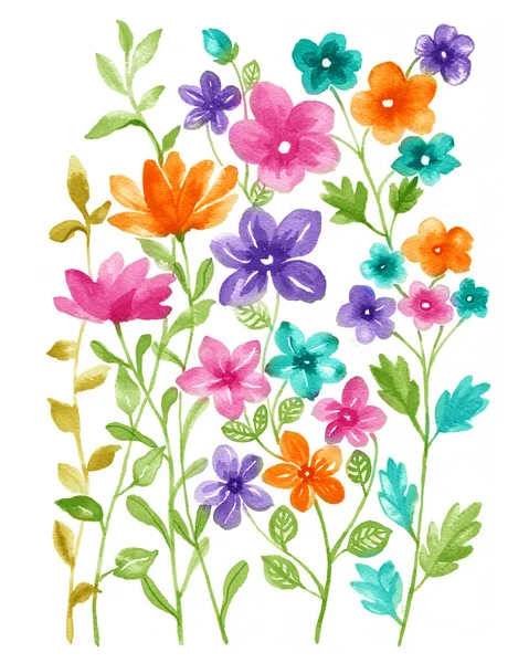 Akvarel Ilustrace Květina Nastavit Jednoduchém Bílém Pozadí — Stock fotografie