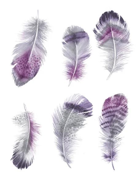 Plumes Peintes Aquarelle Sur Fond Blanc — Photo