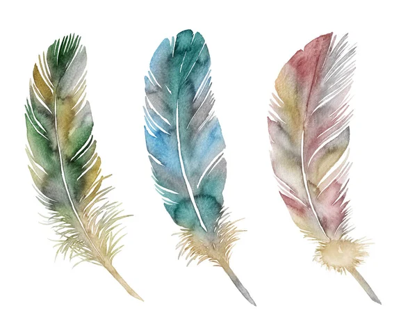 白色底色水彩画的羽毛 — 图库照片