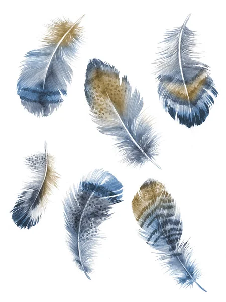 白色底色水彩画的羽毛 — 图库照片