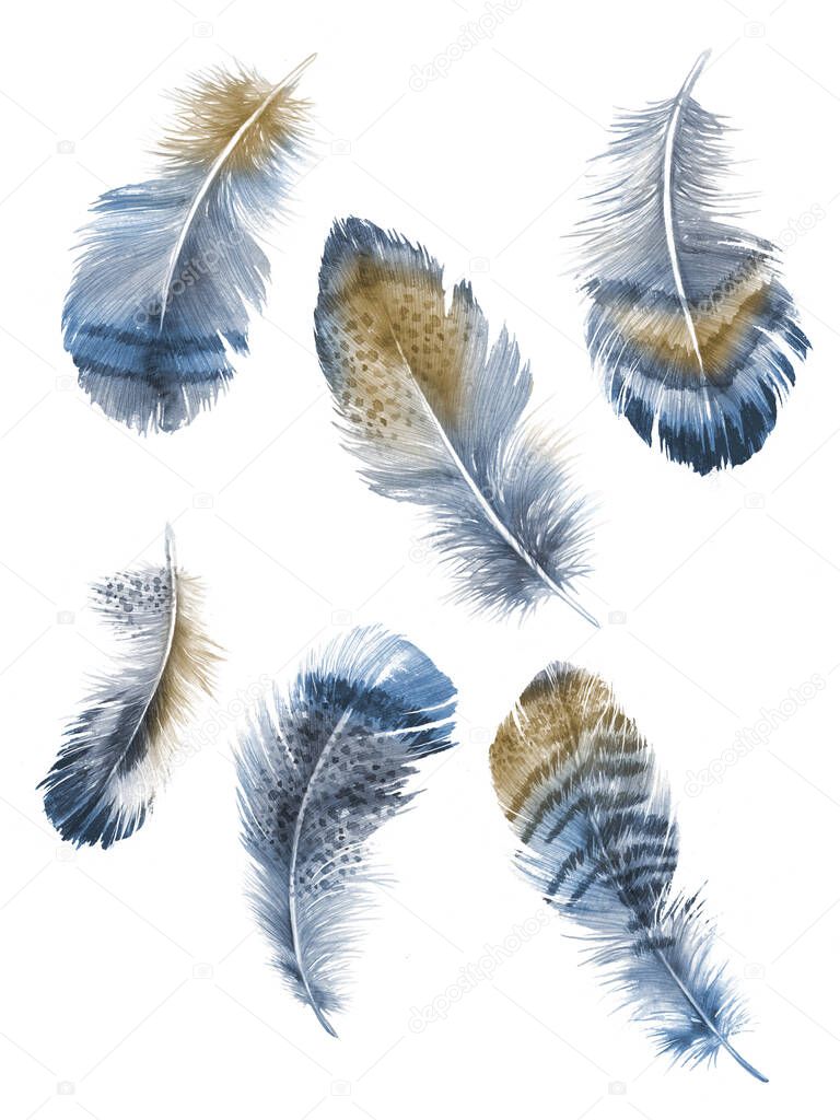 Feathers painted with watercolors on white background.