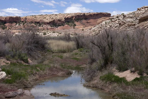 River, Arches Nemzeti Park, Utah, Amerikai Egyesült Államok — Stock Fotó