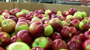 Kadının el malzeme çekme elma Walmart mağaza içinde