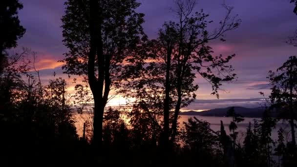 Güzel gün batımı manzarası Stanley Park, Vancouver Bc Kanada hareket. — Stok video