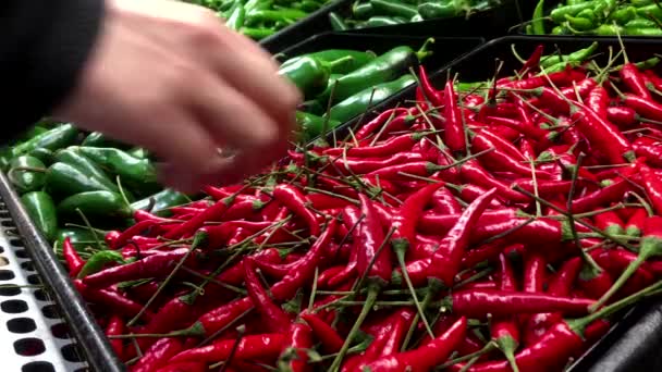 Mão da mulher colhendo pimentas vermelhas dentro Salvar na loja de alimentos — Vídeo de Stock