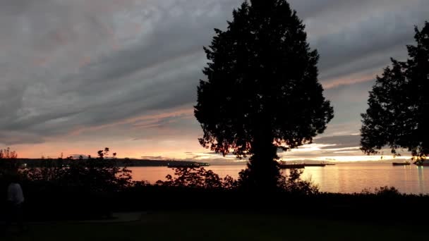 运动的美丽的日落美景，在加拿大不列颠哥伦比亚温哥华斯坦利公园. — 图库视频影像