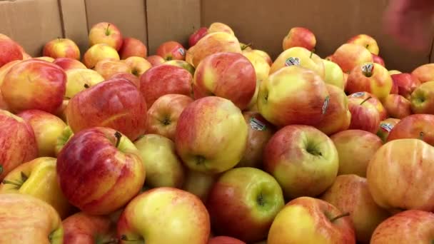 Femme cueillette à la main pomme à l'intérieur Walmart magasin — Video