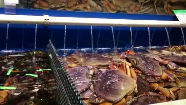 Movimento de caranguejos vivos no tanque no supermercado T & T — Vídeo de Stock