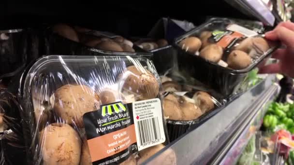 La mano de la mujer recogiendo hongos enteros dentro de la tienda Walmart — Vídeos de Stock