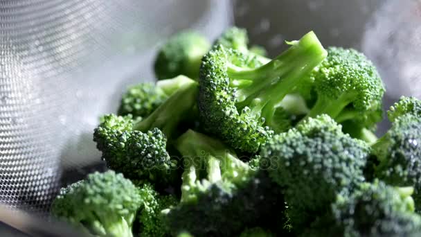 Movimiento de las manos de la mujer lavándose las verduras de brócoli en el fregadero de la cocina — Vídeos de Stock