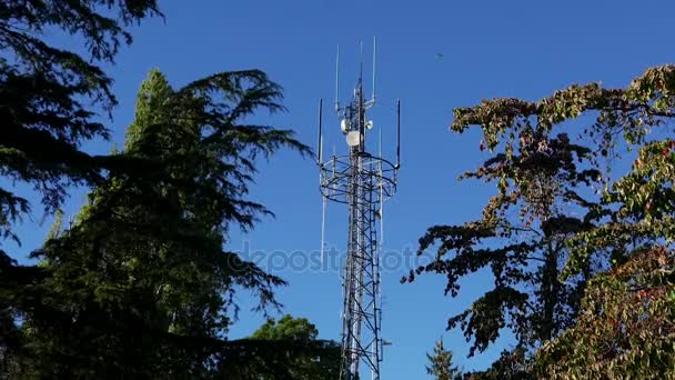 Pohyb telekomunikační věž zařízení a zesilovací anténa jídel — Stock video