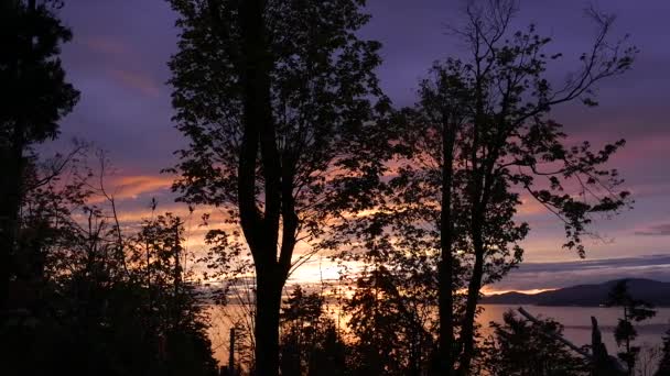 Motie van de prachtige zonsondergang in Stanley Park, Vancouver Bc Canada. — Stockvideo