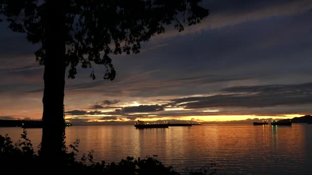 Rörelse av vackra solnedgången på Stanley Park i Vancouver Bc Kanada. — Stockvideo