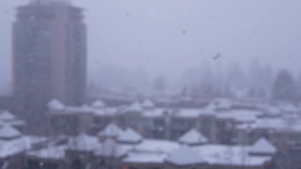 Desenfoque movimiento de vista de la ciudad en nieve fría ventisca día de invierno — Vídeos de Stock