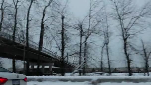 Blur movimento do fluxo de tráfego na noite de neve nevasca fria — Vídeo de Stock