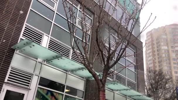 Motion of snowing winter day with empty leaf tree in front of new building — Stock Video