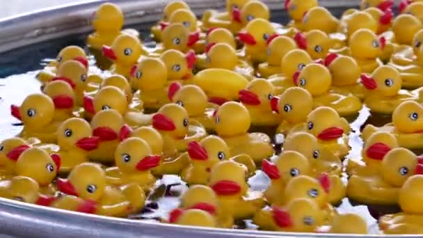 Nahaufnahme der gelben Ente schwimmt im Wasser an der Westküste Vergnügungskarneval — Stockvideo