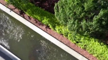 Gölet ve güçlü Rüzgar fırtınası sırasında sallanan ağaçların Üstten Görünüm