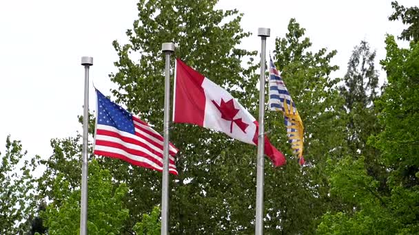 Slow motion of various world flags flying on flagpoles in a cloudy sky — Stock Video