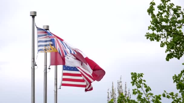 Movimiento lento de varias banderas del mundo ondeando sobre asta de bandera en un cielo nublado — Vídeo de stock