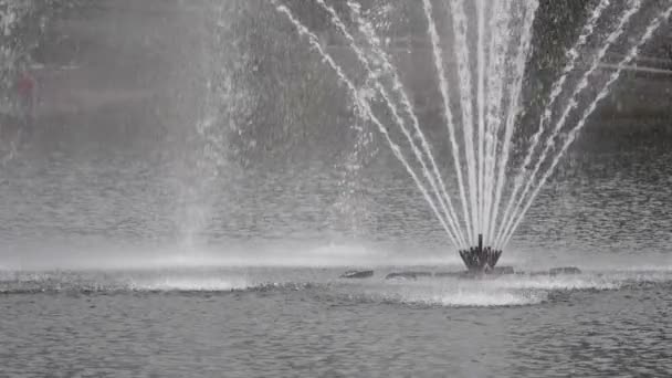 Slow motion van stad park fontein jet in het meer — Stockvideo