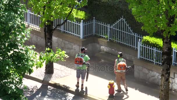 Повільний рух працівника з листя повітродувки прибирати листя — стокове відео