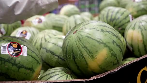 Rörelse kvinna att köpa vattenmelon inne Costco butiken — Stockvideo
