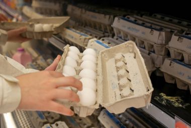 Bakkal kadın seçme yumurta üretmek bölümü