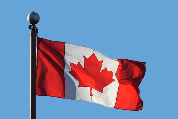 Brandissant le drapeau canadien — Photo