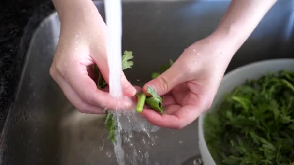 Slow motion van vrouw chinese groente in aanrecht onder kraan water wassen — Stockvideo