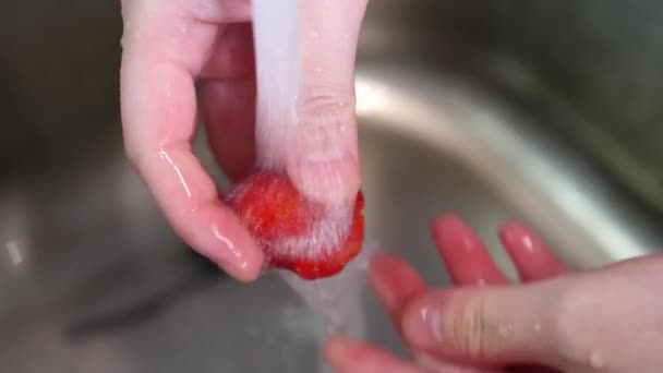 주방 싱크 수돗물 아래에 딸기를 세척 하는 여자의 슬로우 모션 — 비디오