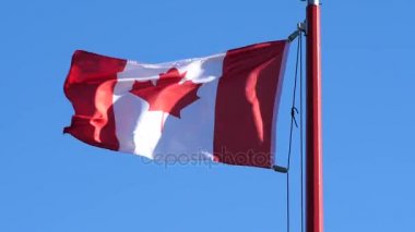 Kanada bayrağı bayrak direkleri mavi gökyüzünde uçan hareket