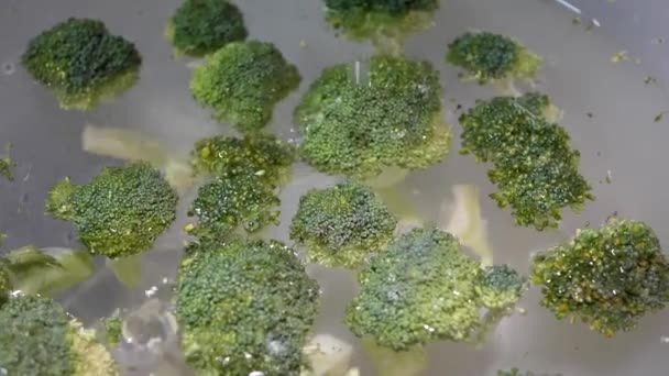 Slow motion van broccoli vallen in water — Stockvideo