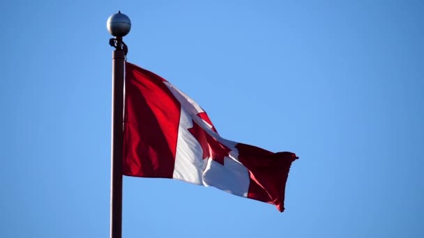 Slow motion van Canadese vlag op vlaggenmasten in een blauwe hemel — Stockvideo