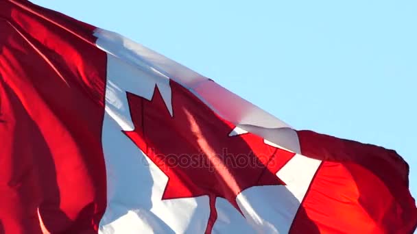 Slow motion van Canadese vlag op vlaggenmasten in een blauwe hemel — Stockvideo