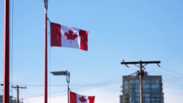 Movimiento de desenfoque para enfocar la bandera canadiense ondeando en asta de bandera — Vídeos de Stock