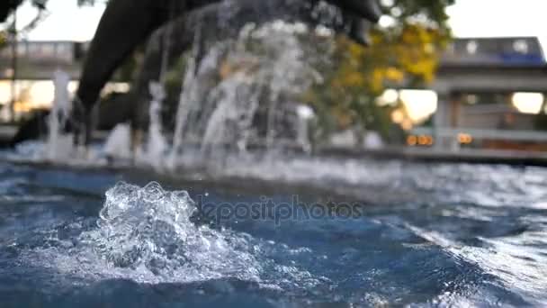 慢动作的喷泉以青铜海豚和背景轻轨站路过的雕像 — 图库视频影像